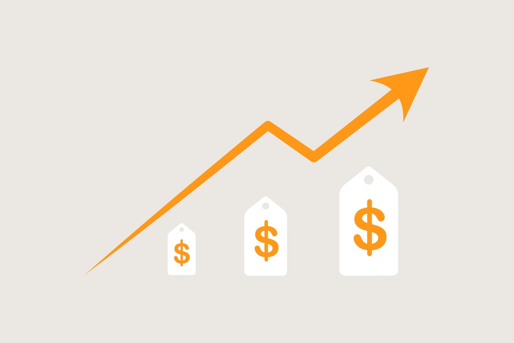 como funcionan los rich snippets